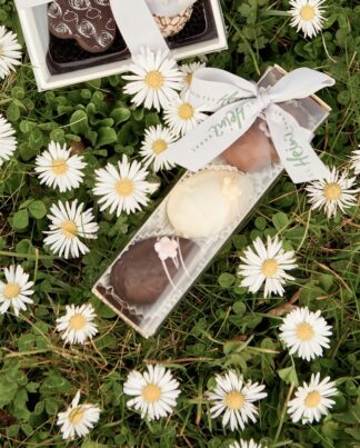 Pralinenschachtel mit dekorativen Schleifen auf grünem Gras zwischen weißen Gänseblümchen.