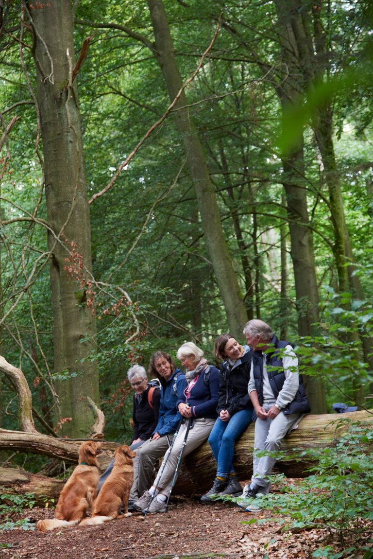 Fünf Menschen sitzen auf einem umgestürzten Baum im Wald, unterhalten sich und lächeln, vor ihnen sitzen zwei Hunde.