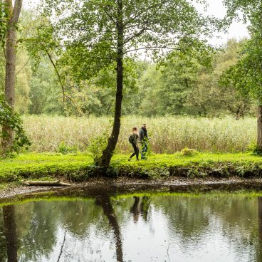 Zwei Menschen gehen auf einem Graspfad neben einem ruhigen Teich entlang, umgeben von üppigen grünen Bäumen und Vegetation.