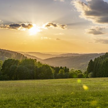 Sonnenuntergang über einer grünen Wiese mit Bäumen und Hügeln in der Ferne, Sonnenstrahlen scheinen durch vereinzelte Wolken am Himmel.