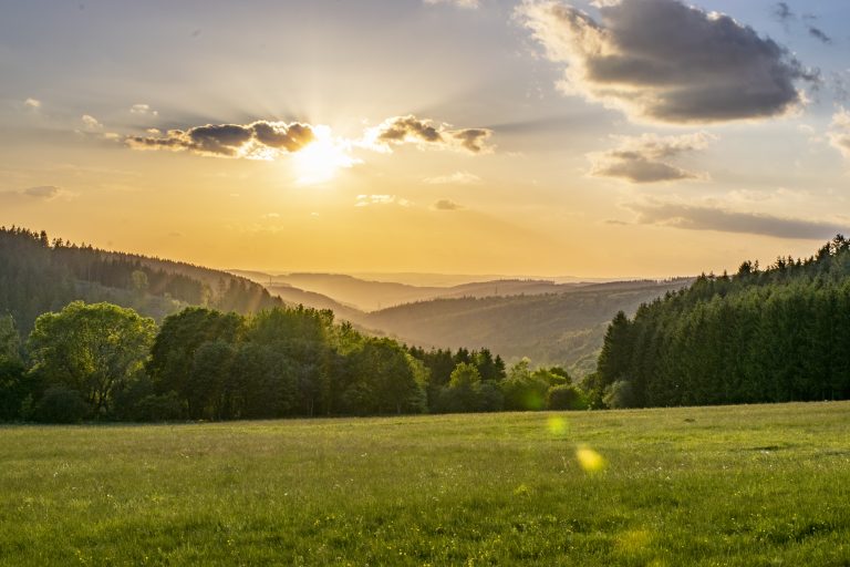 Sonnenuntergang über einer grünen Wiese mit Bäumen und Hügeln in der Ferne, Sonnenstrahlen scheinen durch vereinzelte Wolken am Himmel.