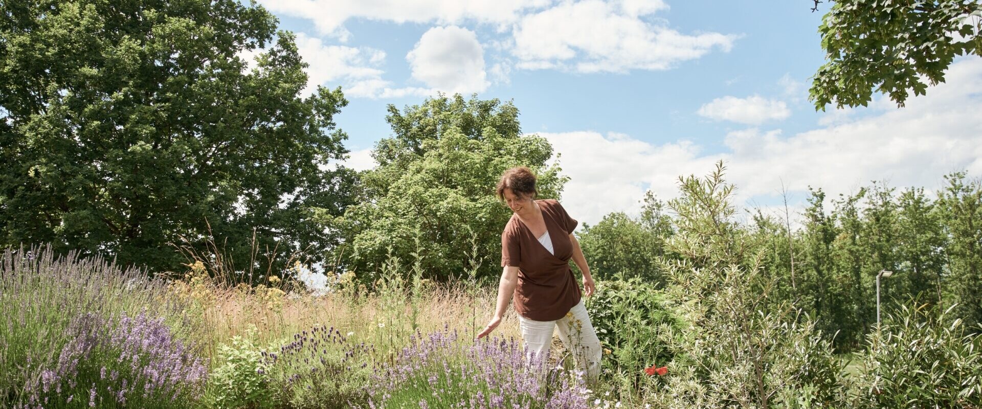Eine Person pflegt einen üppigen Garten mit violetten Blumen und Grün unter einem sonnigen, teilweise bewölkten Himmel.