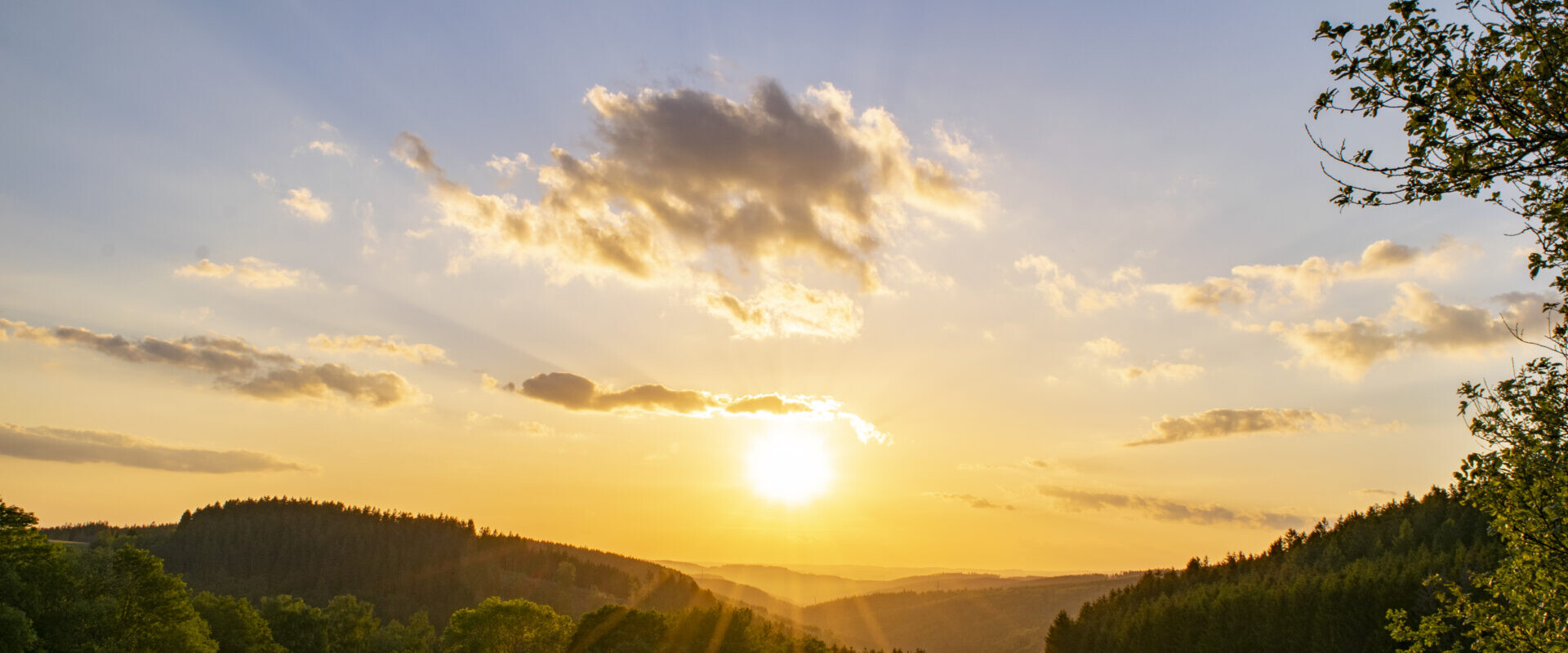 Goldener Sonnenuntergang über einer Wiese mit vereinzelten Bäumen, Hügeln in der Ferne und ein paar Wolken am Himmel.