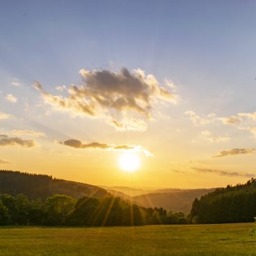 Goldener Sonnenuntergang über einer Wiese mit vereinzelten Bäumen, Hügeln in der Ferne und ein paar Wolken am Himmel.