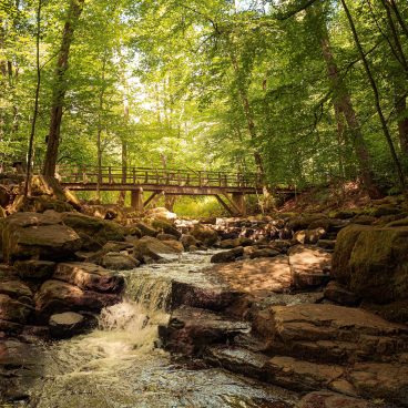 Ein kleiner Wasserfall fließt über Felsen in einem Wald, über den im hellen Sonnenlicht eine Holzbrücke führt.
