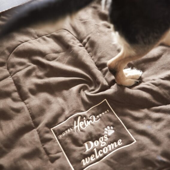 Ein Hund steht auf einer braunen Matte, auf die die Worte Dogs welcome gestickt sind.