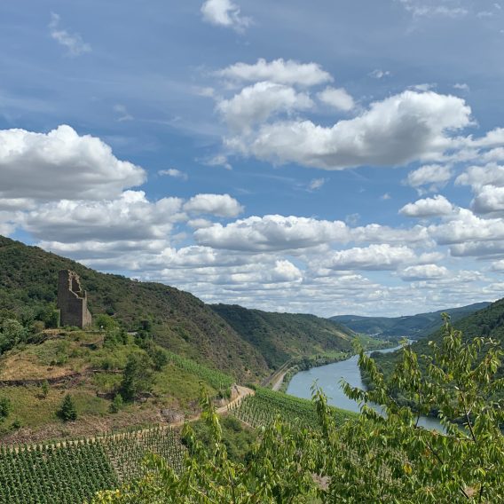 Ein Fluss schlängelt sich zwischen grünen Hügeln mit Weinbergen hindurch; unter einem teilweise bewölkten Himmel steht am Hang eine Steinruine.