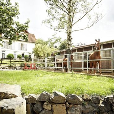 Zwei Pferde stehen auf einer eingezäunten Koppel in der Nähe eines modernen Hauses und einer Scheune, umgeben von grünem Gras und Bäumen.