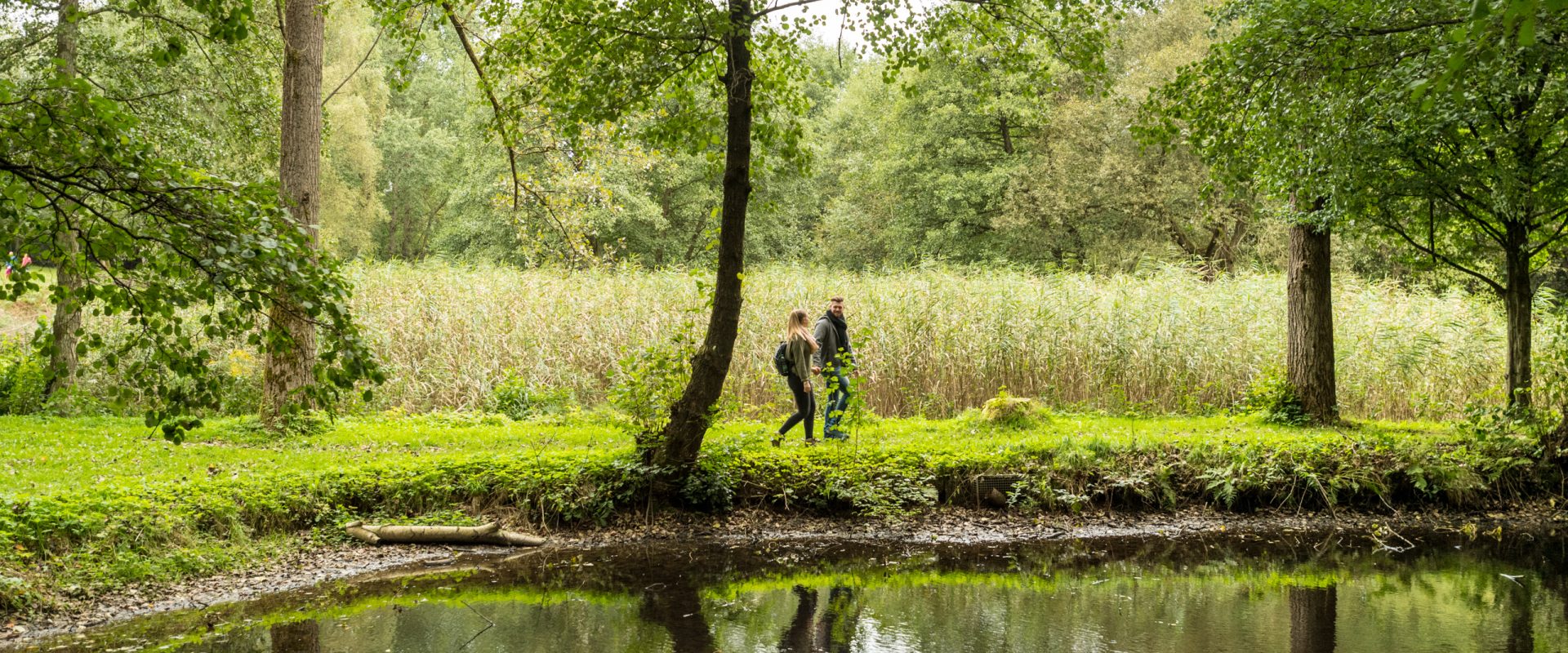 Wandern Paar Wald Sommer Weiher See