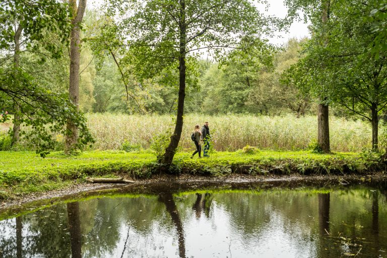 Wandern Paar Wald Sommer Weiher See