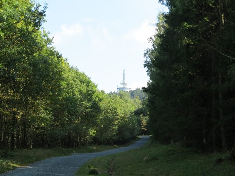 Wanderung Fernsehturm Köppel Weg Wald