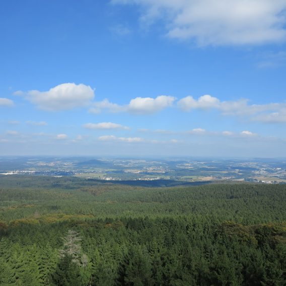 Wanderung Wald Köppel Ausblick Wandern