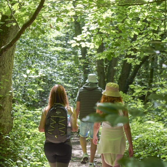 Menschen gehen durch den Wald