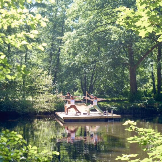 Menschen stehen in einer Yogaposition auf einem Holzsteg auf einem See