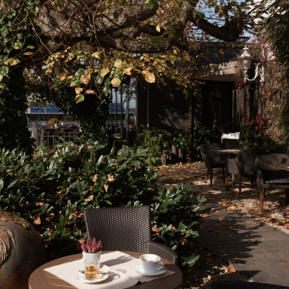 Ein runder Tisch mit Kaffeetassen steht unter einem Baum mit Herbstlaub in einem gemütlichen Café im Freien.