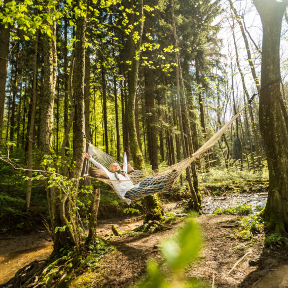 Person entspannt sich auf einer Hängematte, die zwischen Bäumen in einem sonnenbeschienenen Wald mit grünem Laub und einem kleinen Bach in der Nähe aufgehängt ist.