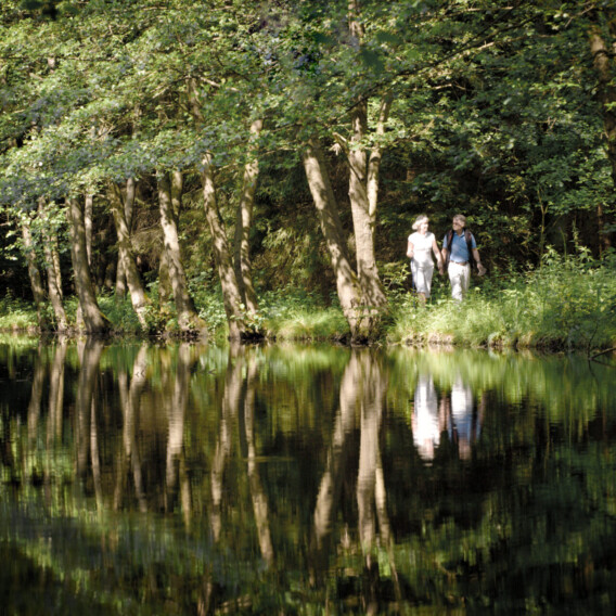 Zwei Menschen gehen neben einem Teich in einem sonnenbeschienenen Wald spazieren, in dessen ruhigem Wasser sich Bäume und Grünpflanzen spiegeln.