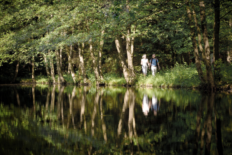 Zwei Menschen gehen neben einem Teich in einem sonnenbeschienenen Wald spazieren, in dessen ruhigem Wasser sich Bäume und Grünpflanzen spiegeln.