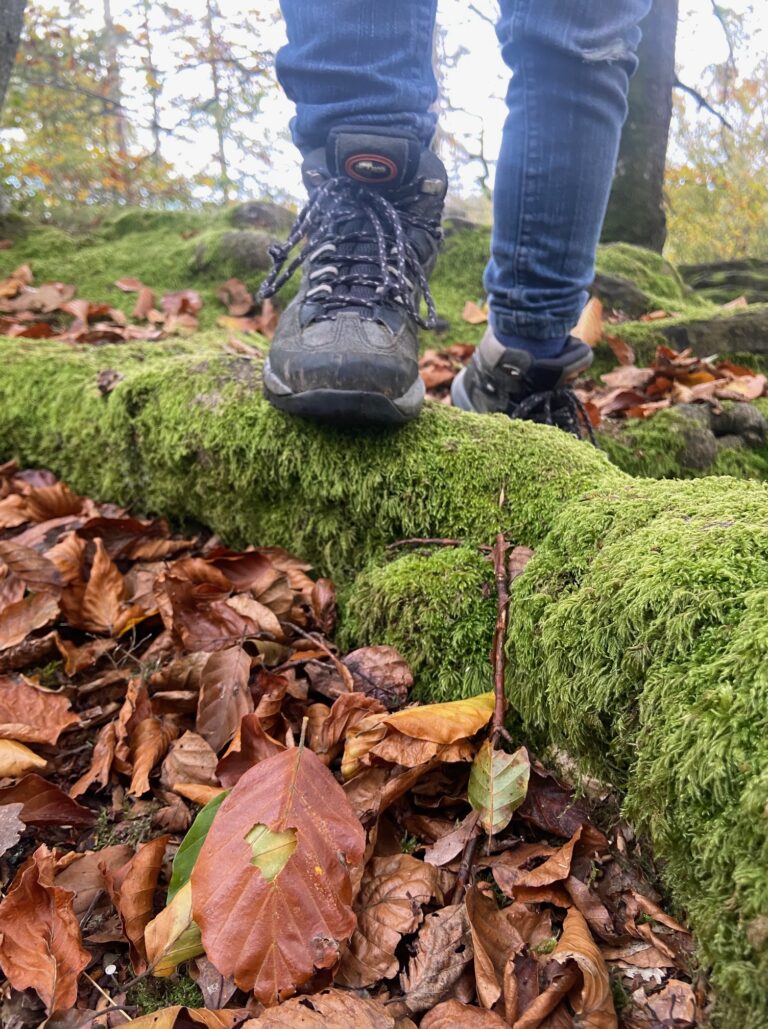Wandern: Nahaufnahme einer Person in Wanderschuhen, die auf einen moosbewachsenen Baumstamm tritt, der von herabgefallenen Herbstblättern in einem Wald umgeben ist.