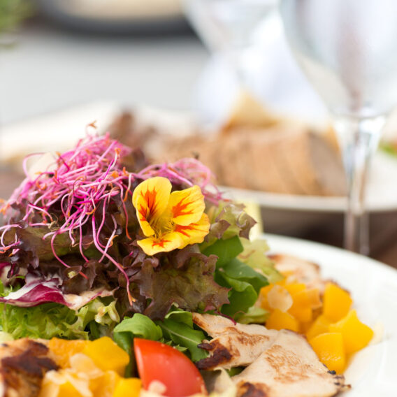Nahaufnahme eines frischen Salats mit gegrilltem Hähnchen, buntem Grünzeug, essbaren Blüten, gewürfelten gelben Paprikaschoten und einem Glas Wasser im Hintergrund.